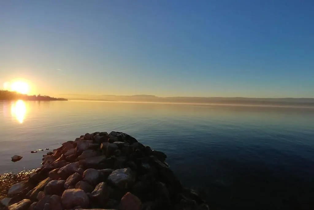 公寓 Lakefront. Appartement Pieds Dans L'Eau. View And Direct Access To The Lake. Anthy-sur-Leman 法国