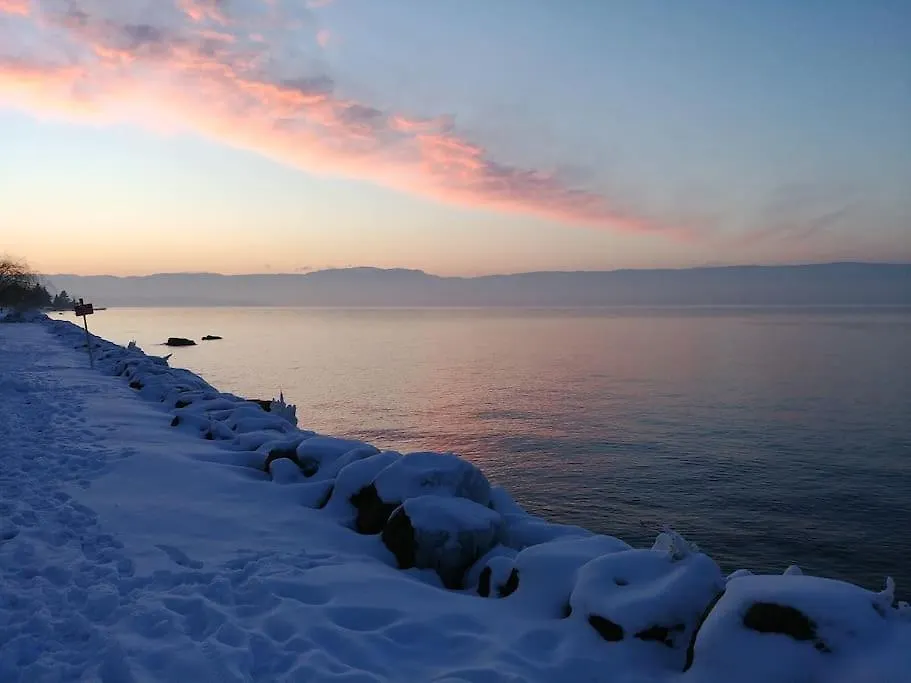 Lakefront. Appartement Pieds Dans L'Eau. View And Direct Access To The Lake. Anthy-sur-Leman 法国