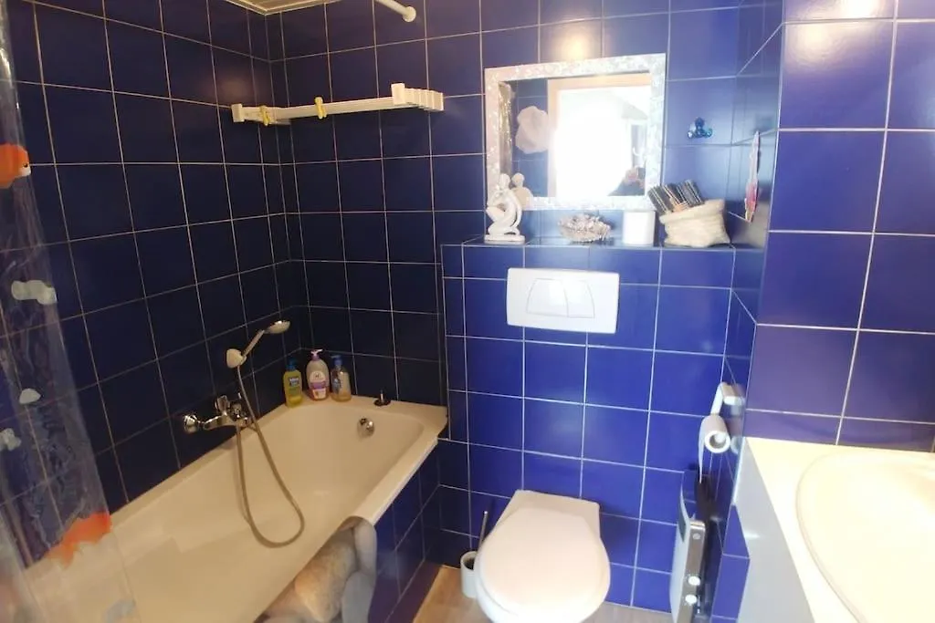 公寓 Lakefront. Appartement Pieds Dans L'Eau. View And Direct Access To The Lake. Anthy-sur-Leman